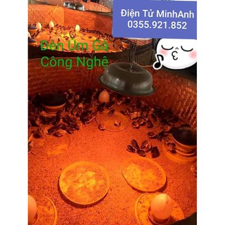 Đèn úm ngan gà vịt lợn siêu bền