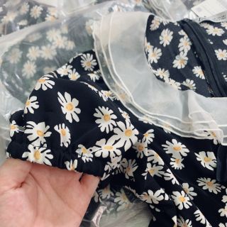 Váy cổ ren tiêu thư