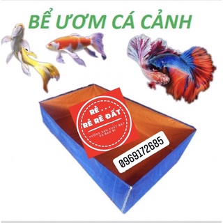 Bể bạt nuôi cá ốc ếch lươn tôm - Tặng van xả nước