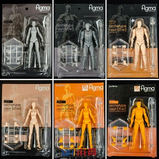 Mô Hình Cơ Thể Nam Nữ Figma 2.0 Màu Da