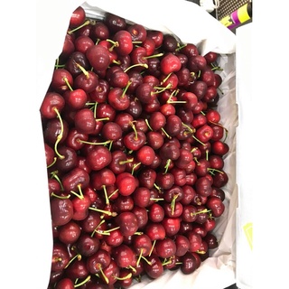[Giao nhanh trong HCM] Cherry size 9