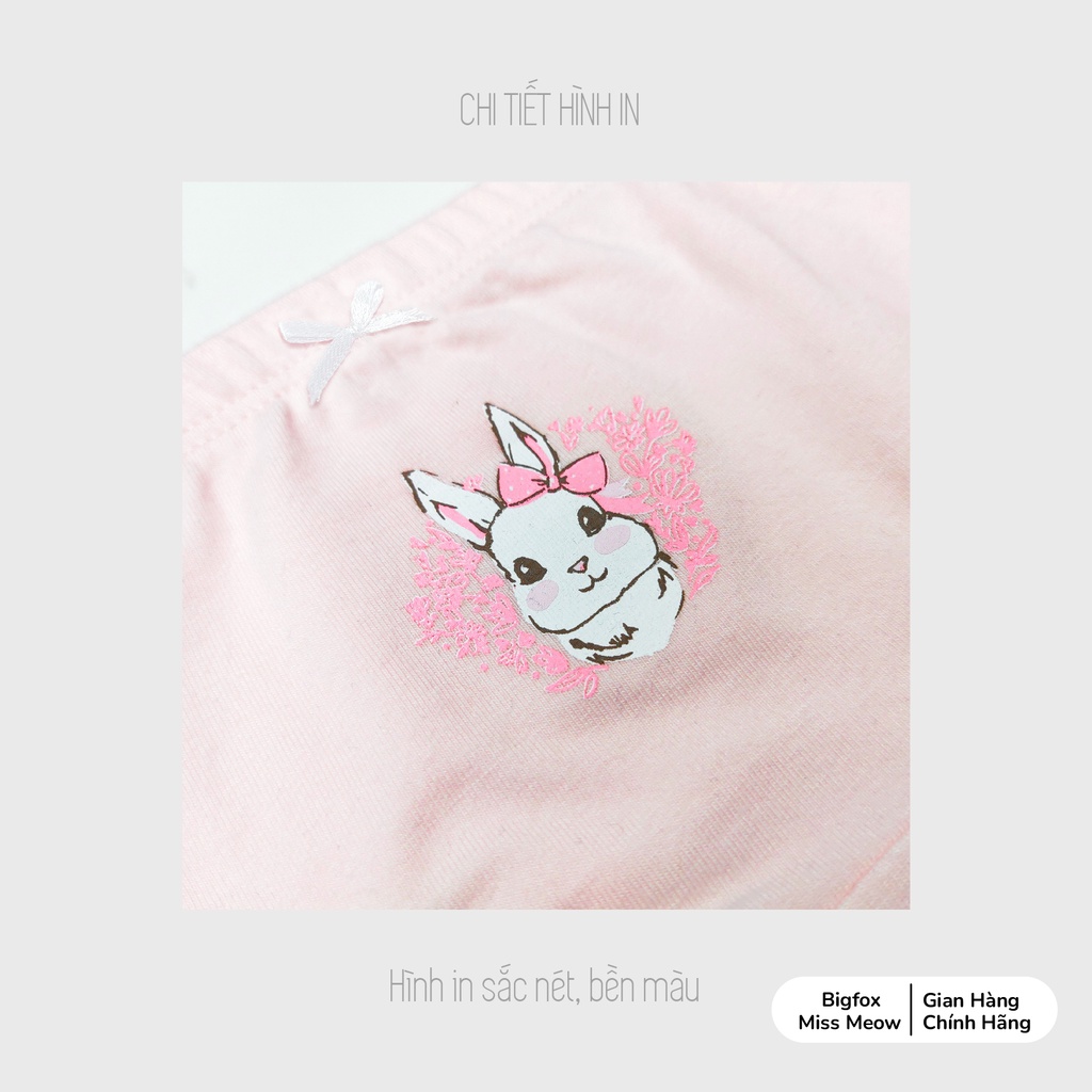 Set quần chip tam giác bé gái Bigfox - Miss Meow chất cotton cao cấp cho bé gái 10-36kg, size đại in thỏ xinh xắn