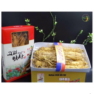 Bán lẻ từng củ loại Nhân sâm tươi 10 củ/kg , Sâm tươi ngâm mật ong, ngâm bình