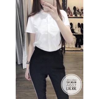 Sơ mi trắng bigsize 55-85kg