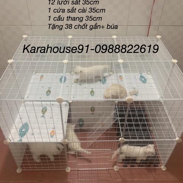 CHUỒNG MÈO 2 TẦNG HÌNH CÁ SIÊU HOT