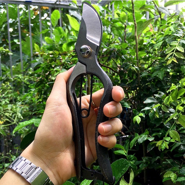 Kéo Cắt Cành Nhật Bản Đúc Nguyên Khối Chất Liệu Hợp Kim Cao Cấp Chống Gỉ