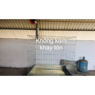 Bu úp gà 1 mx1mx1m kẽm to 3 ly cho gà choi gà tre không khay tôn