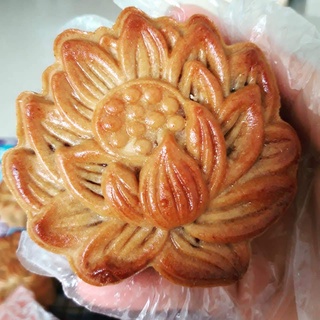 [Hàng mới về] Bột Biến Tính Sanh Ký (1kg)