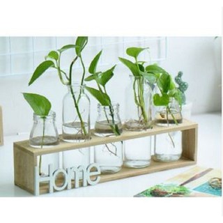 Kệ 5 lọ bình thủy tinh nghệ thuật HOME SWEET HOME