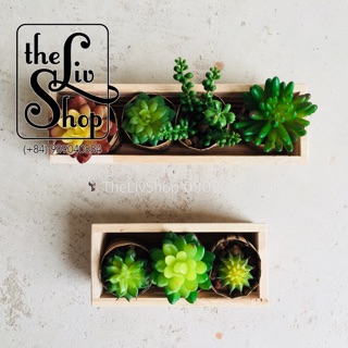 Chậu gỗ trồng cây (20cm)