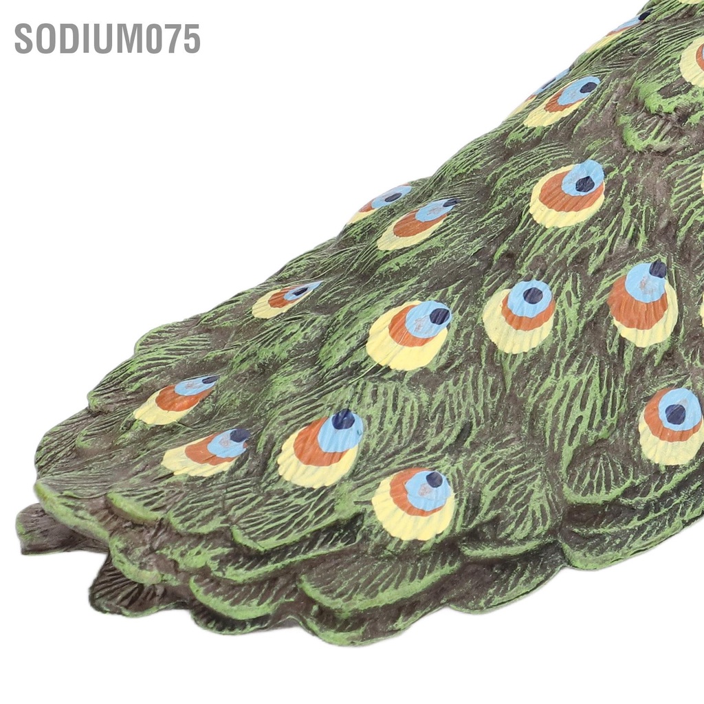 Có thể bán buôn Con công đẹp Trang trí nhà sống động Mô hình vật Tượng con nhân tạo để làm quà tặng Sodium075 Hàng giao ngay