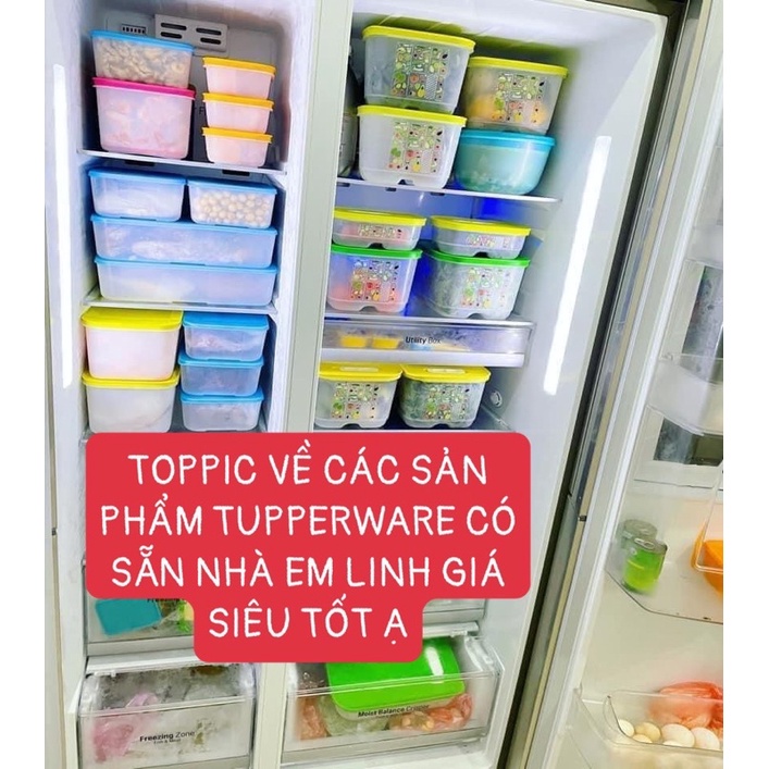 Bộ hộp trữ đông, trữ mát, bình nước Tupperware