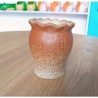 Chậu trồng sen đá _ Chậu mini