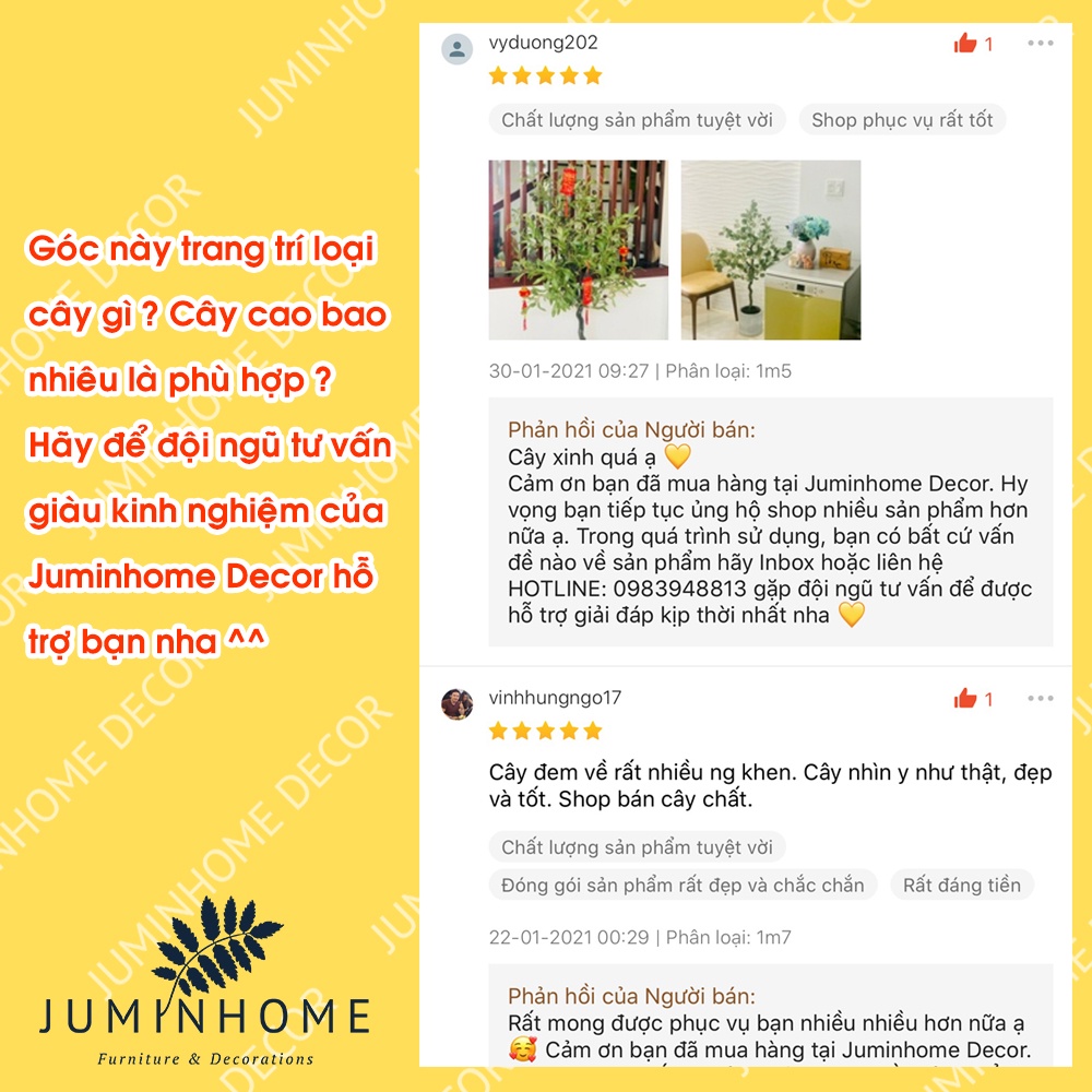 Cây oliu giả, cây olive giả - Cây giả decor trang trí nhà cửa nội thất phòng khách phòng ngủ