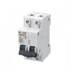 BC63E1CG-2P : MCB (CB tép) Fuji Electric 2P 6kA (6-32A)