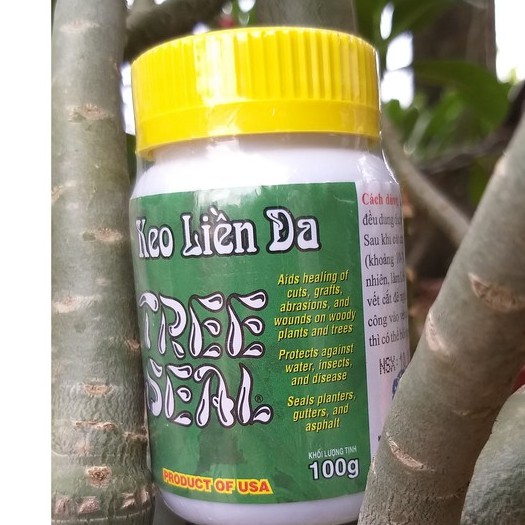 KEO LIỀN DA CÂY TREE SEAL, Keo Liền Sẹo Mỹ Morrisons