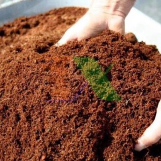 Mùn Xơ dừa xử lý (1kg)