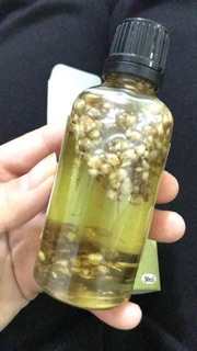 Tinh dầu tràm hoa nén 50ml
