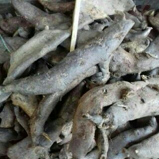 Tắc kè đá khô 1kg