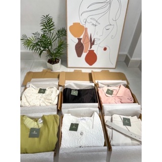 Mặt trời nhỏ - Sunny