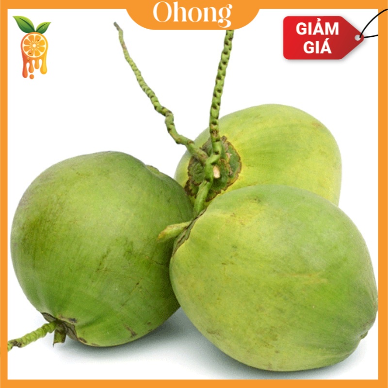 - Dừa xiêm Bến Tre giá tại vườn (Trái)