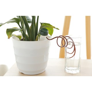 Combo 2 dụng cụ tưới cây tự động