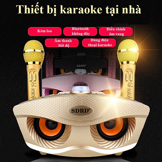 Loa Karaoke SD 301 - SD 306 - SD 309  Kèm 2 Micro Không Dây tích hợp bluetooth 4.0 - usb - thẻ nhớ