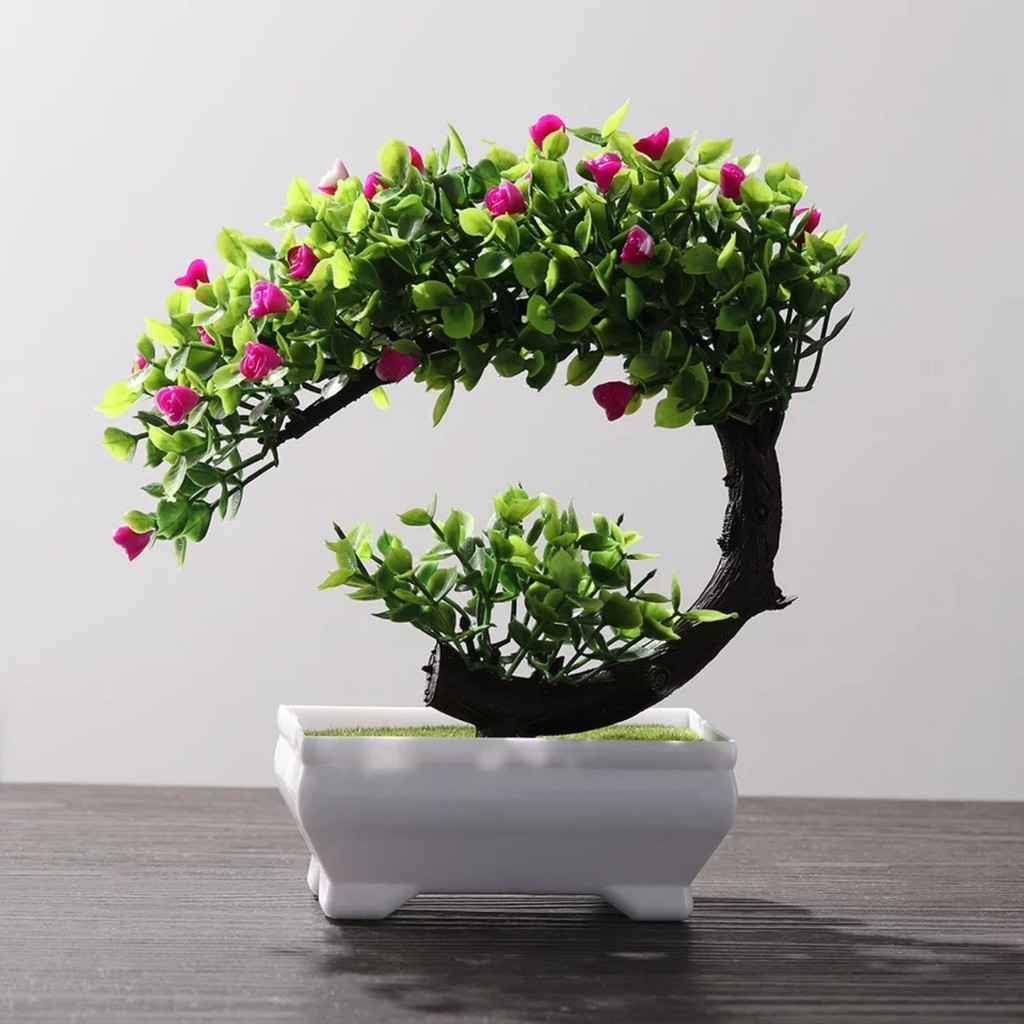 Chậu cây bonsai phú quý tài lộc trang trí nhà cửa kích thước 20cmx19cm