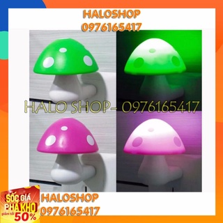 Đèn ngủ hình nấm cảm ứng - tự động sáng khi trời tối