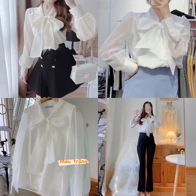 Áo sơ mi voan màu trơn thắt nơ cách điệu tiểu thư nhẹ nhàng- Mono Boutique
