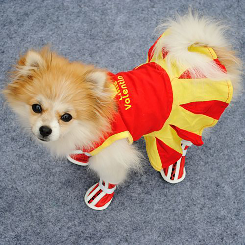 Đầm Công Chúa Chiwawa yorkies Dễ Thương Cho Thú Cưng
