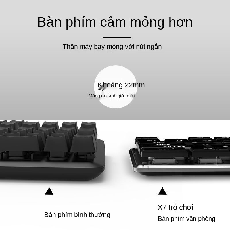 Bàn phím và chuột Wrangler bộ điều khiển sô cô la cảm thấy Trò chơi thể thao điện tử có dây văn phòng gõ máy tí | BigBuy360 - bigbuy360.vn