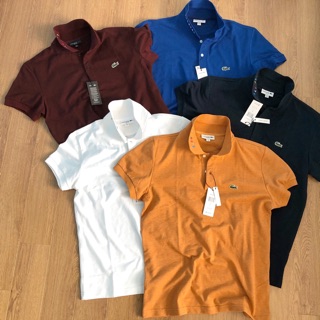 Áo polo nam dư xịn