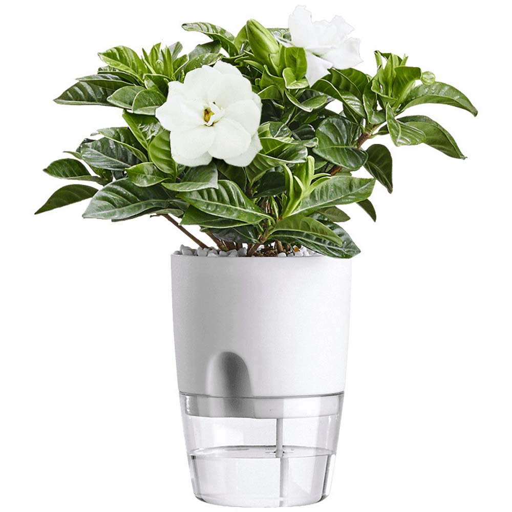 Chậu hoa để bàn tự tưới nước trang trí văn phòng/sân vườn/ nhà cửa