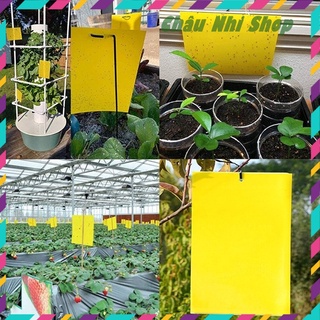 Miếng bẫy dính ruồi vàng, côn trùng, 2 mặt siêu dính, set 5/10/20 [Tặng kèm dây treo]