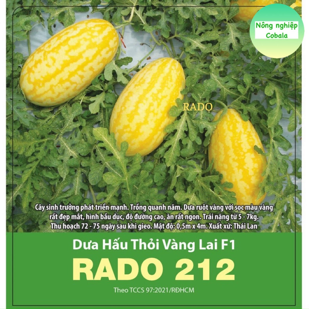 Hạt Giống Dưa Hấu Thỏi Vàng (212) 5 Hạt