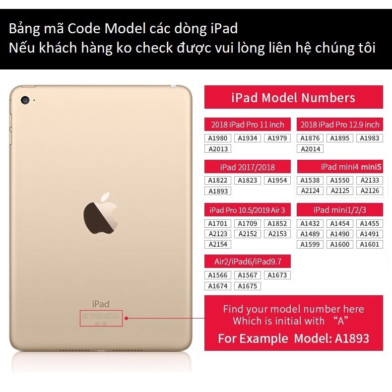 Ốp lưng iPad Pro 11 inch (2018) Chính hãng XUNDD, Chống shock, Mặt lưng trong suốt, Viền TPU