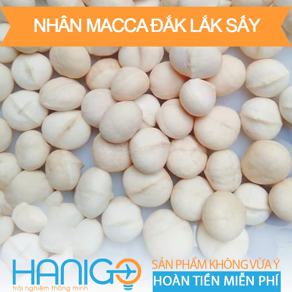 Hạt Macca Đắc Lắc Sấy Nứt Vỏ Ăn Liền- 500Gr- HANIGO FOOD