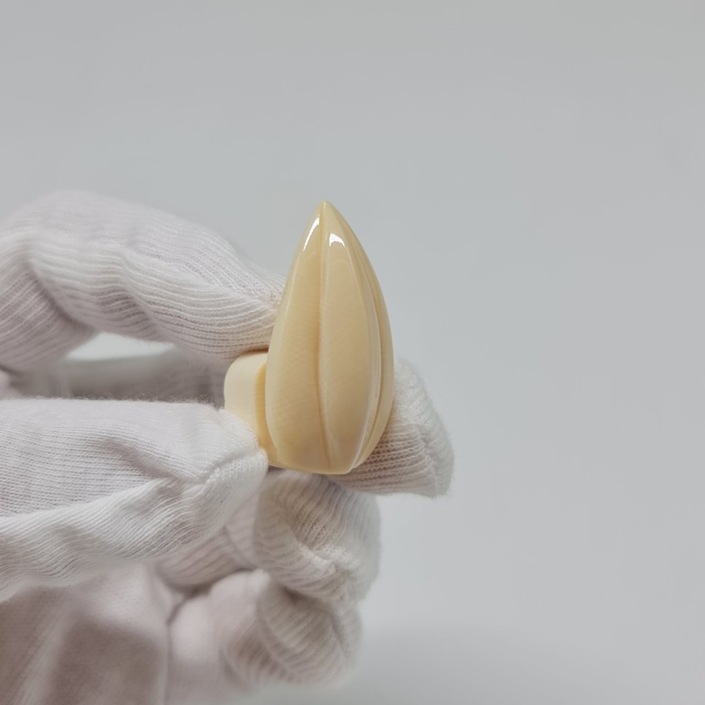 Phụ kiện chim - Star fruit - R008