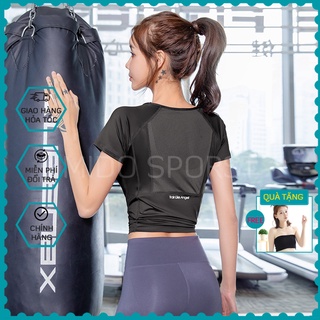 Áo tập thể thao nữ Mido A35 ,kiểu áo tập thể dục nữ tay ngắn phối lưới, chất liệu co giãn, thoáng mát
