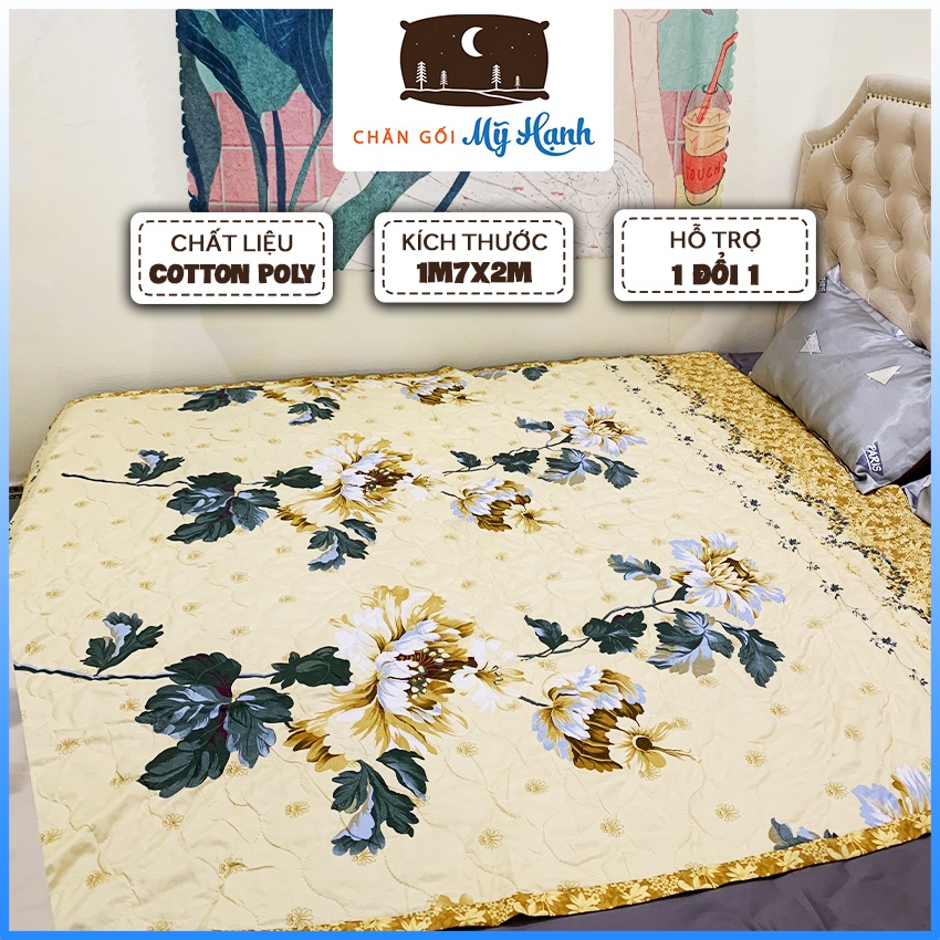 Chăn hè Cotton Poly trần bông 3 lớp hình Cúc Vàng siêu nhẹ thấm hút mồ hôi tốt kích thước 1m7x2m - CH09