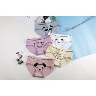 Combo 5 Quần lót nữ, quần lót cotton in hình dễ thương ZBra - ZQC01