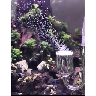 Sủi co2 siêu mịn