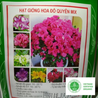 10 Hạt giống Đỗ Quyên (tặng gói Kích nẩy mầm và Hướng dẫn) THUTHUY