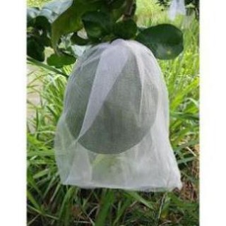 Sét 20 túi bọc bưởi kích thước 30x35cm có dây rút