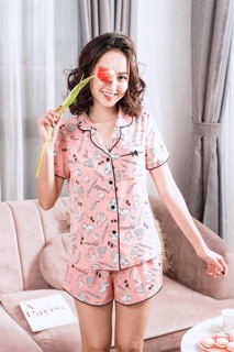 Bộ pijama đùi cao cấp in túi