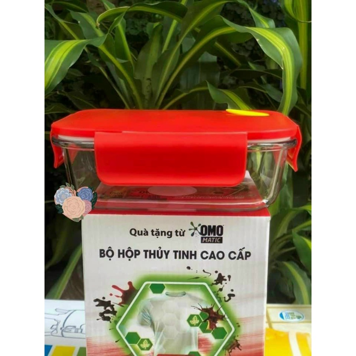 Hộp Thủy Tinh Chữ Nhật 640ml Omo Nắp Đỏ