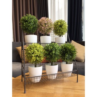 Nội thất AMBER - Chậu cây cảnh giả cây may mắn decor trang trí nhà cửa