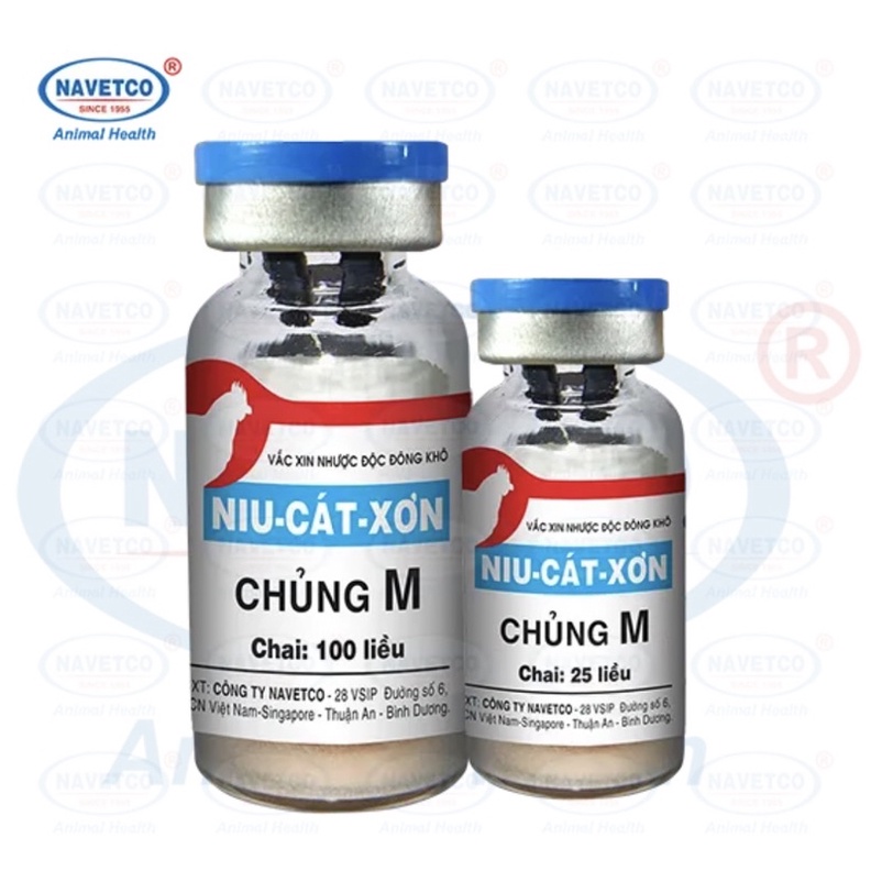 1 Lọ Chủng M dùng cho gà đá liều 100 con.