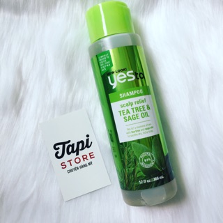 Dầu gội Yes To Shampoo Scalp Relief Tea Tree & Sage Oil